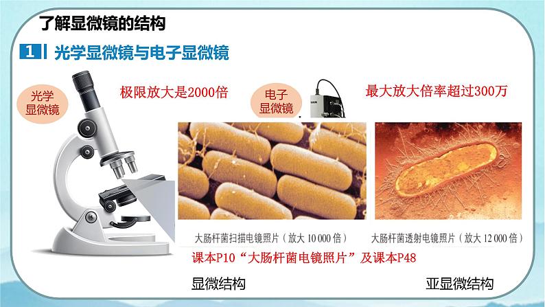 1.2 细胞的多样性和统一性（第1课时）-高中生物 课件+练习（人教版2019 必修一）04