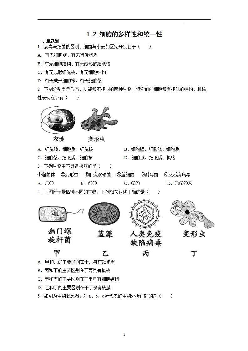 1.2 细胞的多样性和统一性（第2课时）-高中生物 课件+练习（人教版2019 必修一）01