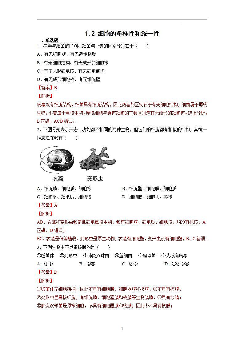 1.2 细胞的多样性和统一性（第2课时）-高中生物 课件+练习（人教版2019 必修一）01