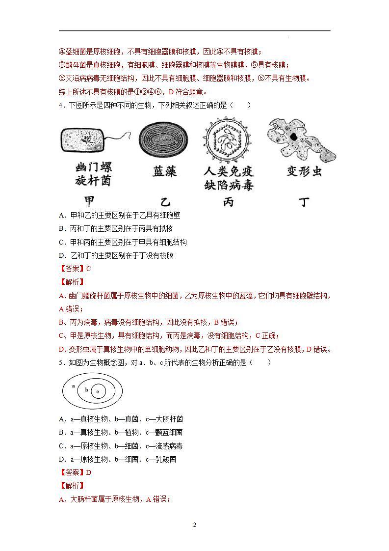 1.2 细胞的多样性和统一性（第2课时）-高中生物 课件+练习（人教版2019 必修一）02