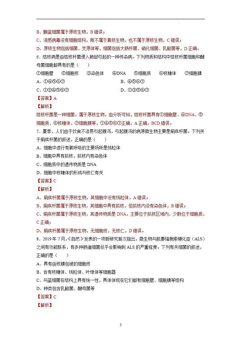 1.2 细胞的多样性和统一性（第2课时）-高中生物 课件+练习（人教版2019 必修一）03