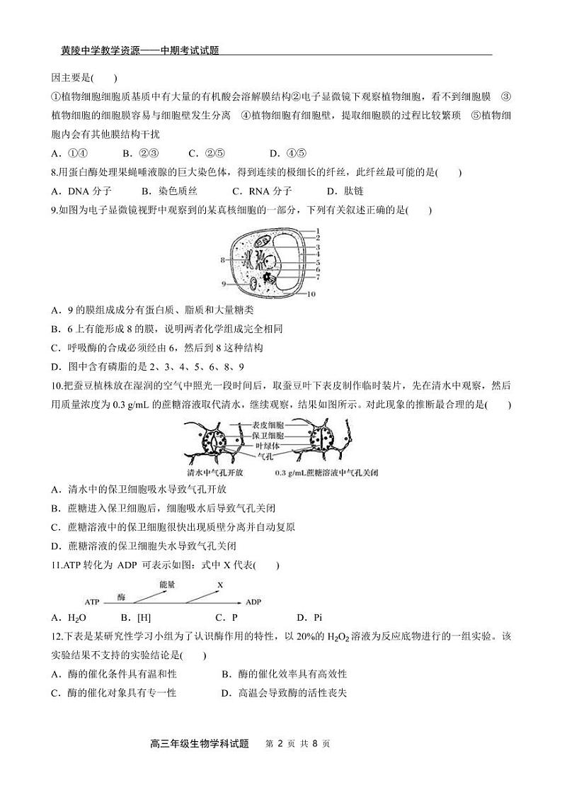 陕西省延安市黄陵县黄陵中学2021-2022学年高三上学期期中生物试题PDF版无答案第2页