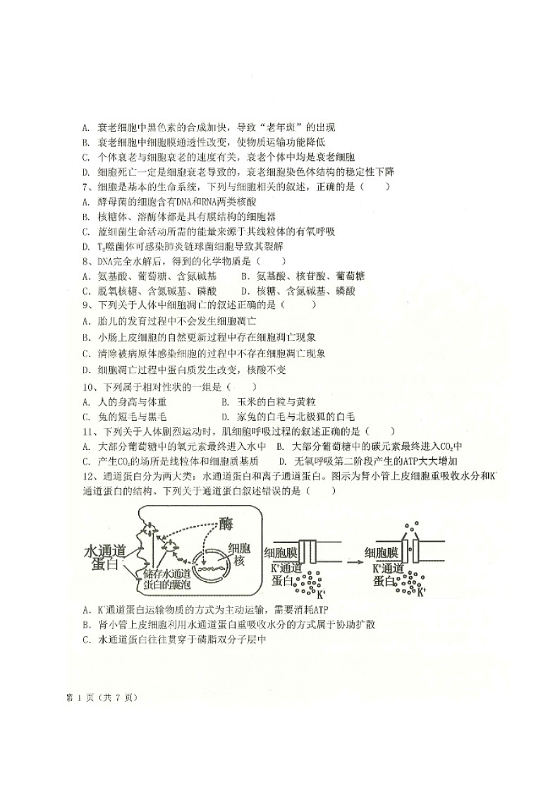黑龙江省齐齐哈尔市八校联合体2023届高三上学期期中考试生物试题扫描版第2页