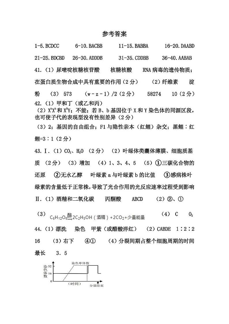 黑龙江省齐齐哈尔市八校联合体2022-2023学年高三上学期期中考试生物答案第1页