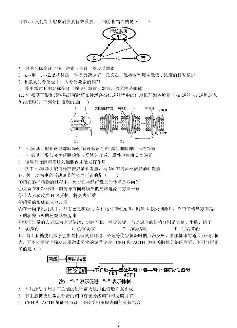 2023苏州吴江汾湖高级中学高二上学期9月教学调研测试生物试题PDF版含答案03