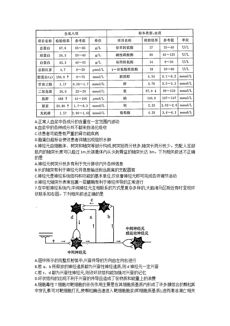 2023湘豫名校联考高二上学期阶段考试（一）生物PDF版含答案02