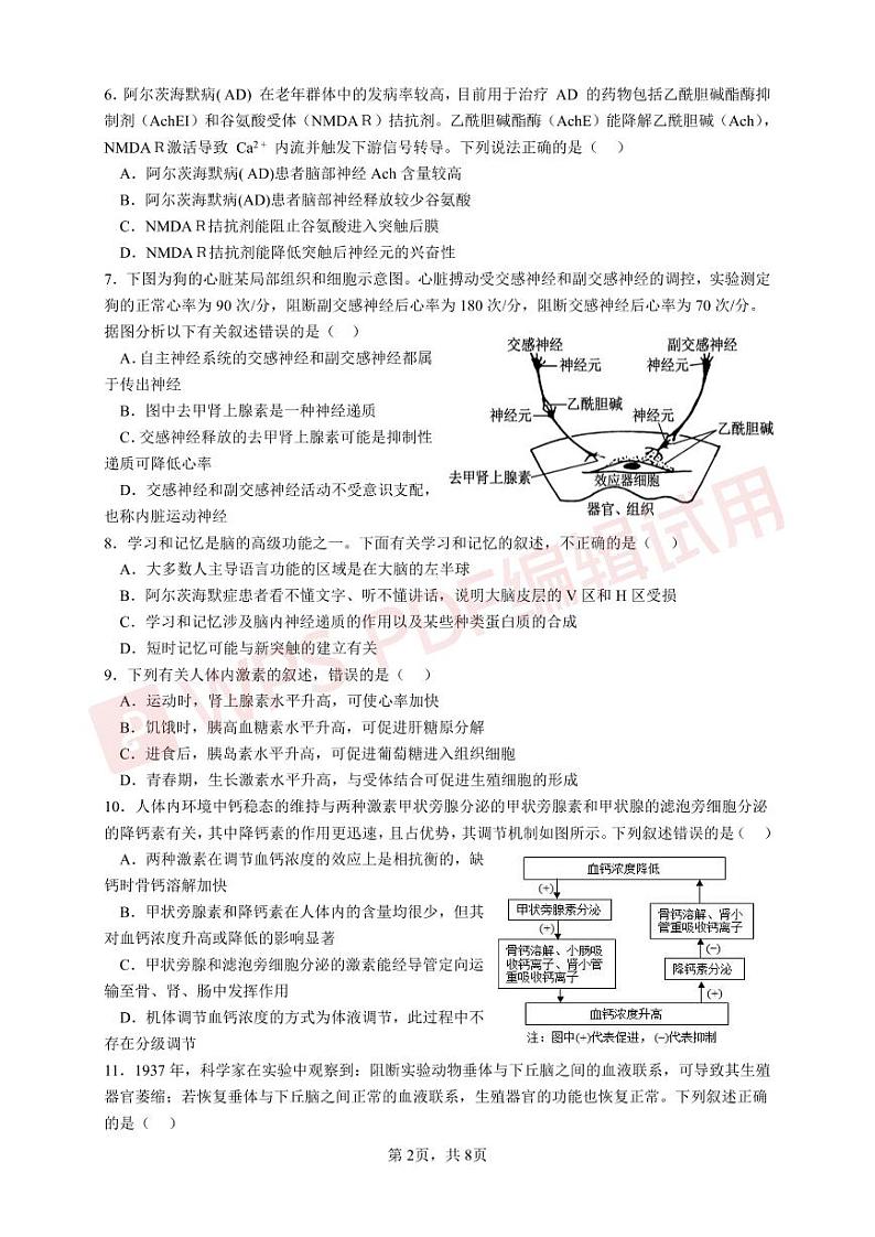 山东省济南市山东师范大学附属中学2022-2023学年高二上学期期中学业水平测试生物试题PDF版含答案第2页