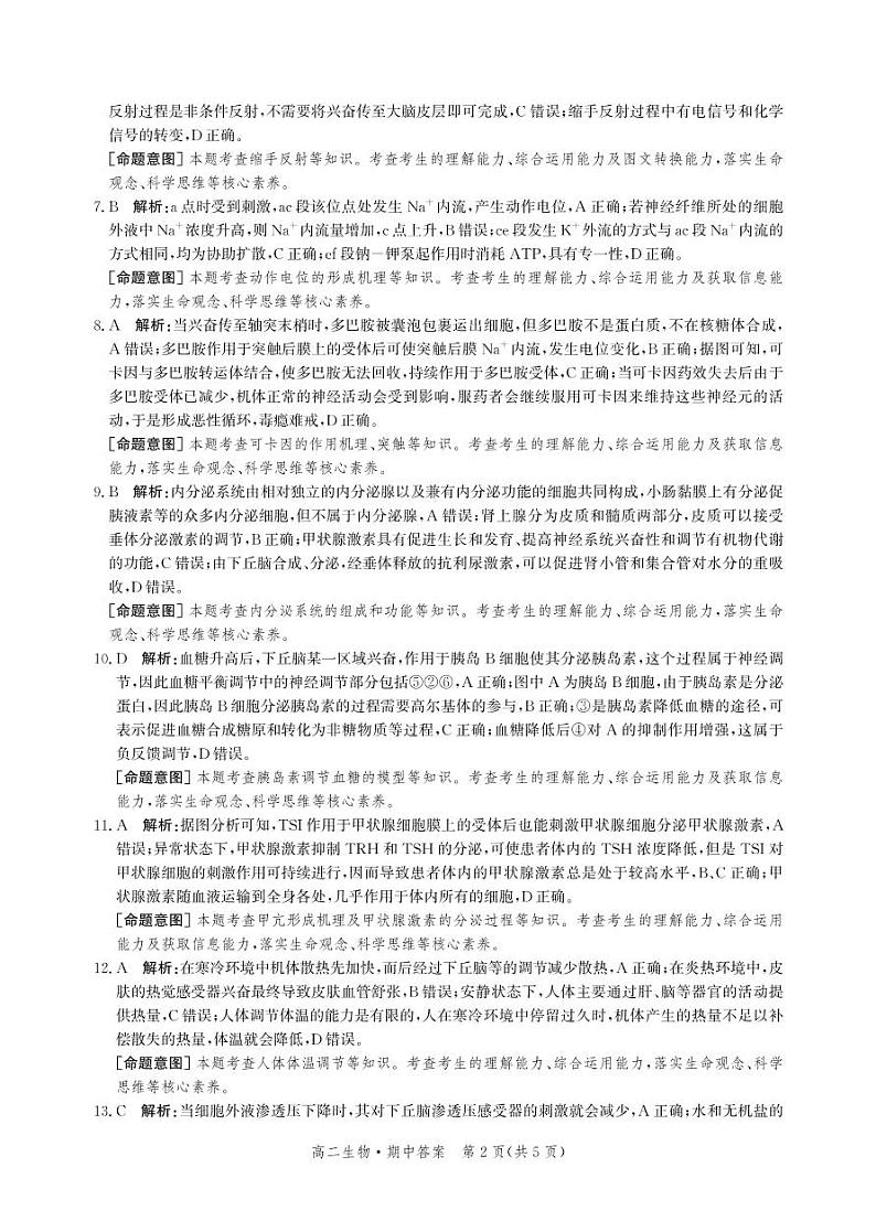 2023沧州高二上学期11月期中考试生物PDF版含解析02