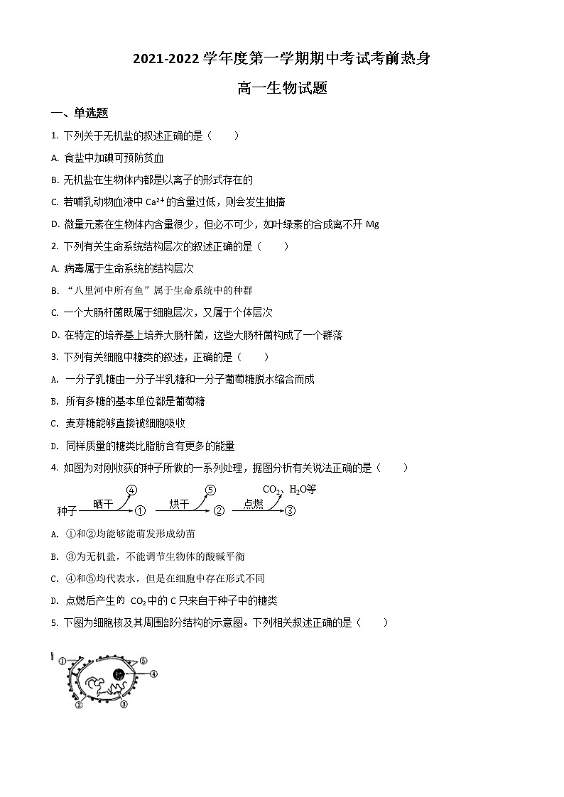 2022新疆喀什二中高一上学期期中考试生物试题含解析第1页