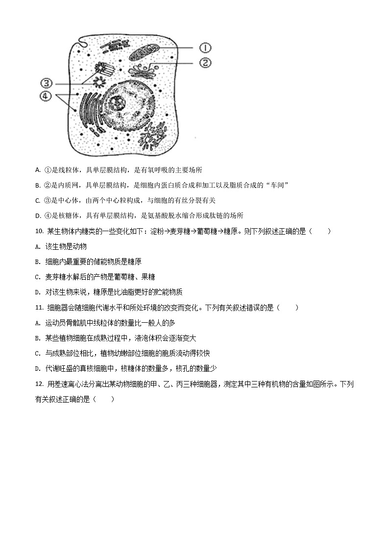2022新疆喀什二中高一上学期期中考试生物试题含解析第3页