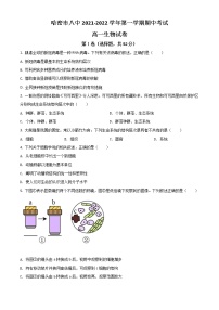 2022哈密八中高一上学期期中考试生物试题含解析