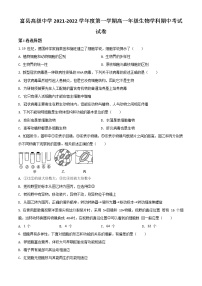 2022延安富县高级中学高一上学期期中考试生物试题含解析