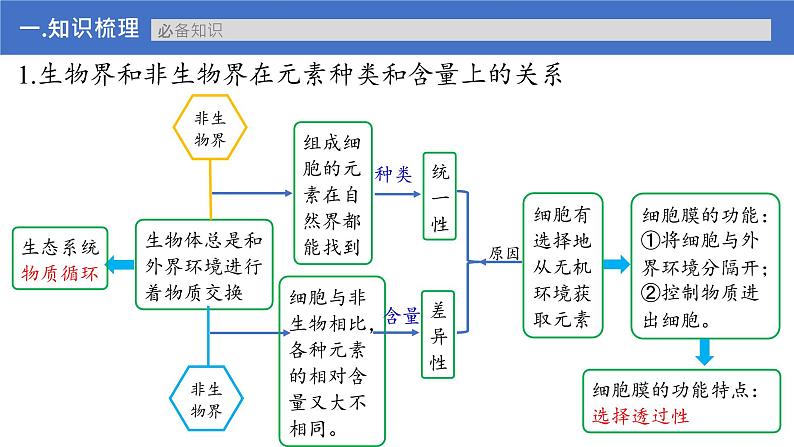 【高考一轮专题复习】高考生物专题复习——第02讲《细胞中的元素与化合物》复习课件（新教材新高考）第6页