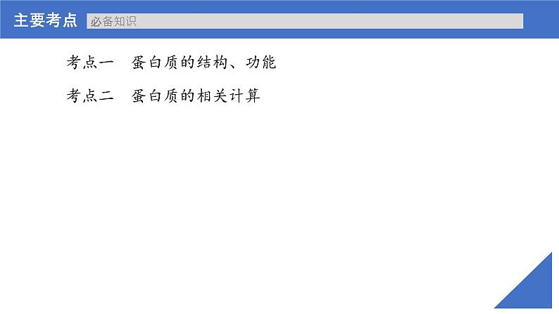 【高考一轮专题复习】高考生物专题复习——第03讲《蛋白质》复习课件（新教材新高考）第4页