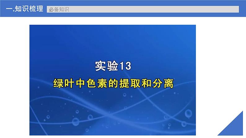 【高考一轮专题复习】高考生物专题复习——第13讲《捕获光能的色素和结构》复习课件（新教材新高考）08