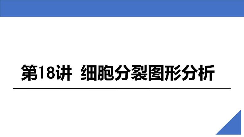 【高考一轮专题复习】高考生物专题复习——第18讲《细胞分裂图形分析》复习课件（新教材新高考）02