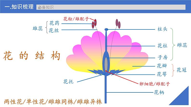 【高考一轮专题复习】高考生物专题复习——第20讲《分离定律的发现及应用》复习课件（新教材新高考）第6页