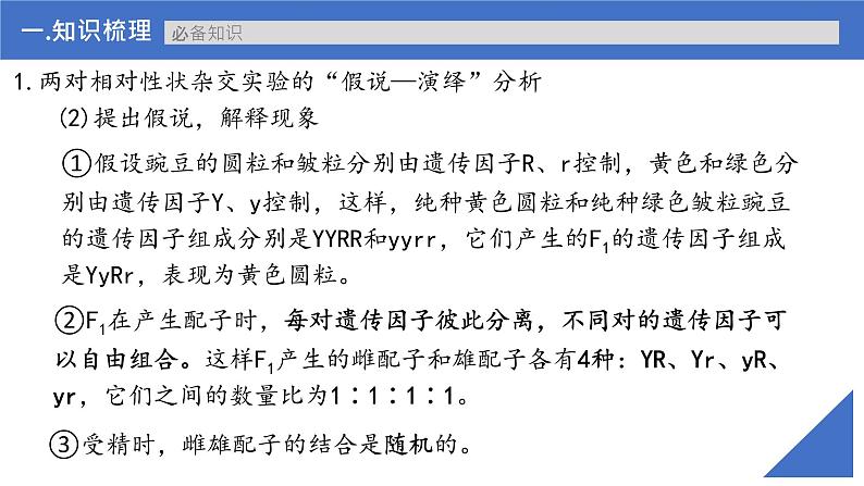 【高考一轮专题复习】高考生物专题复习——第21讲《自由组合定律的发现及应用》复习课件（新教材新高考）08