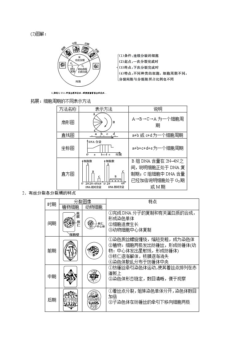 【高考真题解密】高考生物真题题源-专题05《细胞普通的一生，从细胞的生命历程中溯源》母题解密（全国通用）（原卷版）第2页