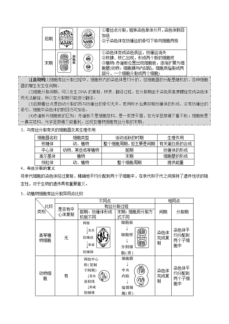 【高考真题解密】高考生物真题题源-专题05《细胞普通的一生，从细胞的生命历程中溯源》母题解密（全国通用）（解析版）第3页