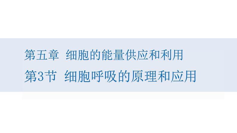 人教版高中生物高一必修一分子与细胞课件5.3细胞呼吸的原理和应用01