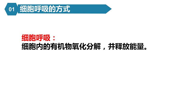 人教版高中生物高一必修一分子与细胞课件5.3细胞呼吸的原理和应用05