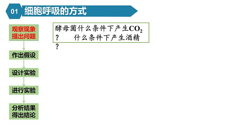 人教版高中生物高一必修一分子与细胞课件5.3细胞呼吸的原理和应用07