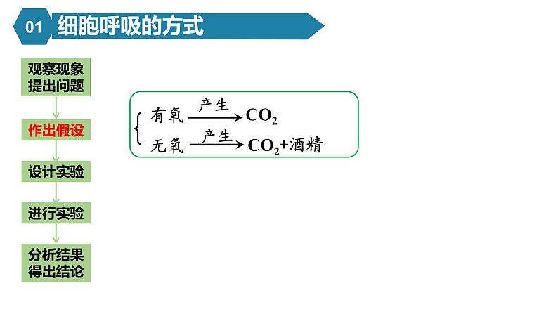 人教版高中生物高一必修一分子与细胞课件5.3细胞呼吸的原理和应用08