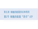 人教版高中生物高一必修一分子与细胞课件5.2细胞的能量“货币”ATP