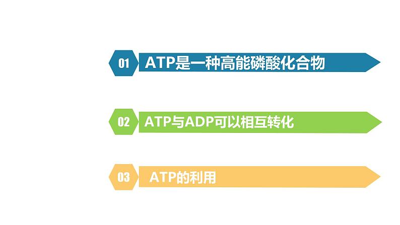 人教版高中生物高一必修一分子与细胞课件5.2细胞的能量“货币”ATP02