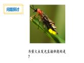 人教版高中生物高一必修一分子与细胞课件5.2细胞的能量“货币”ATP