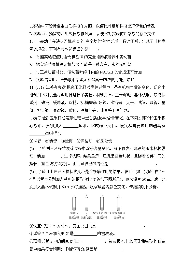 2023年新高考生物专题强化练 1：细胞中化合物的相关实验第3页