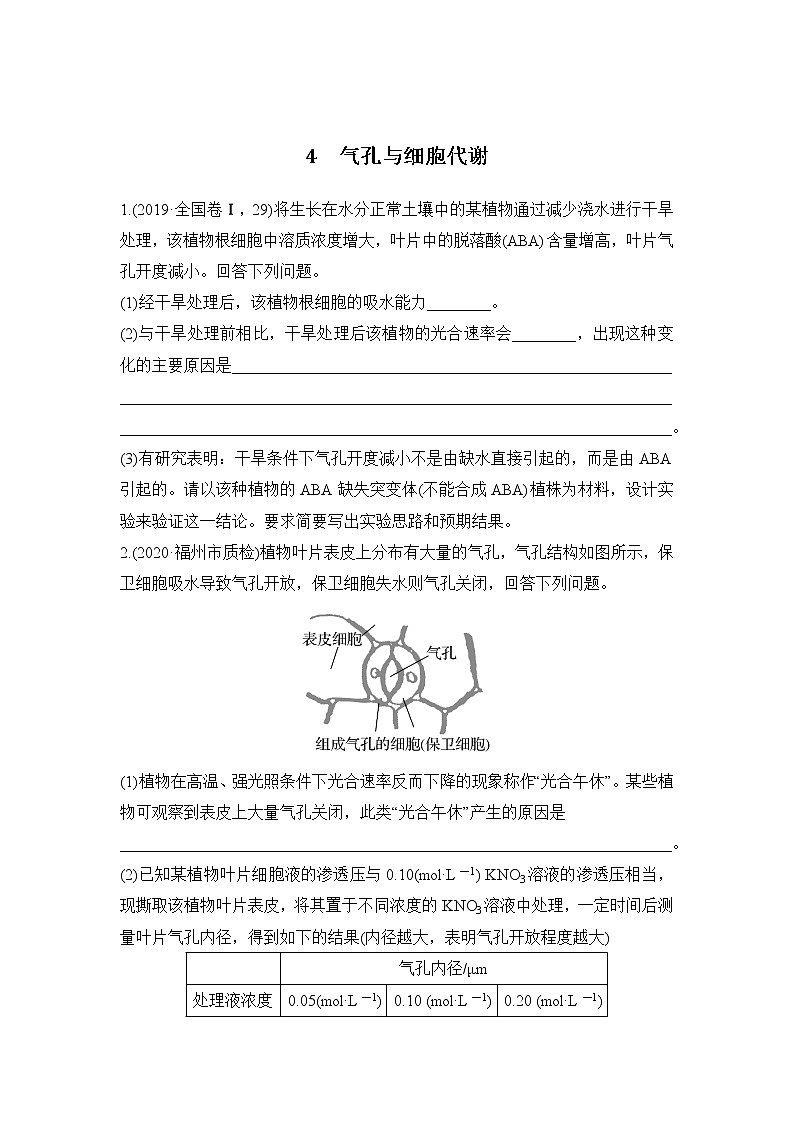 2023年新高考生物专题强化练 4：气孔与细胞代谢第1页