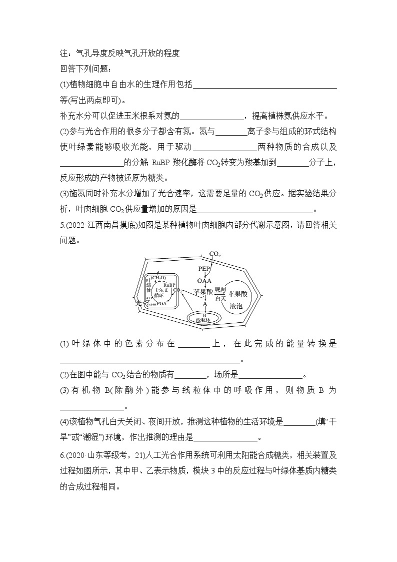 2023年新高考生物专题强化练 4：气孔与细胞代谢第3页