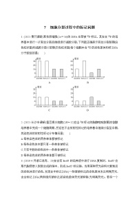 2023年新高考生物专题强化练 7：细胞分裂过程中的同位素标记问题