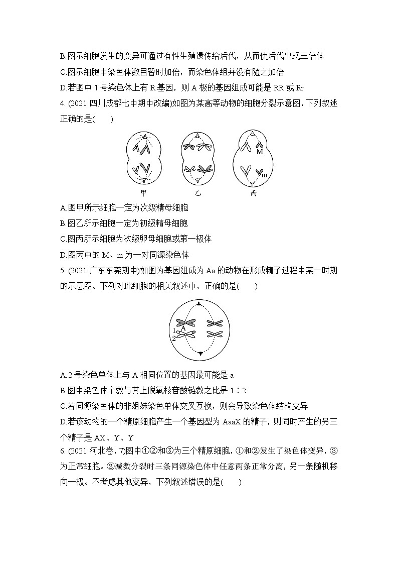 2023年新高考生物专题强化练 6：减数分裂与可遗传变异的关系第2页