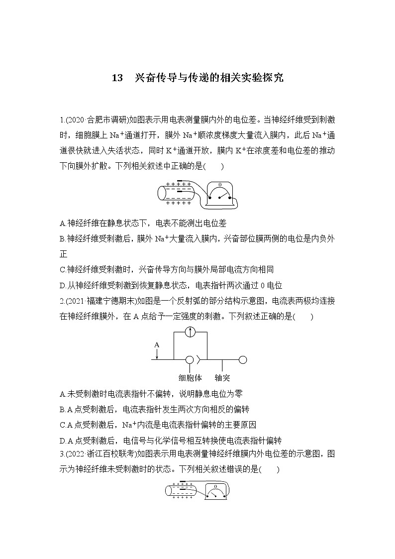 2023年新高考生物专题强化练 13：兴奋传导与传递的相关实验探究第1页