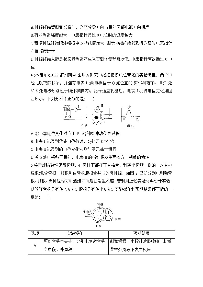 2023年新高考生物专题强化练 13：兴奋传导与传递的相关实验探究第2页