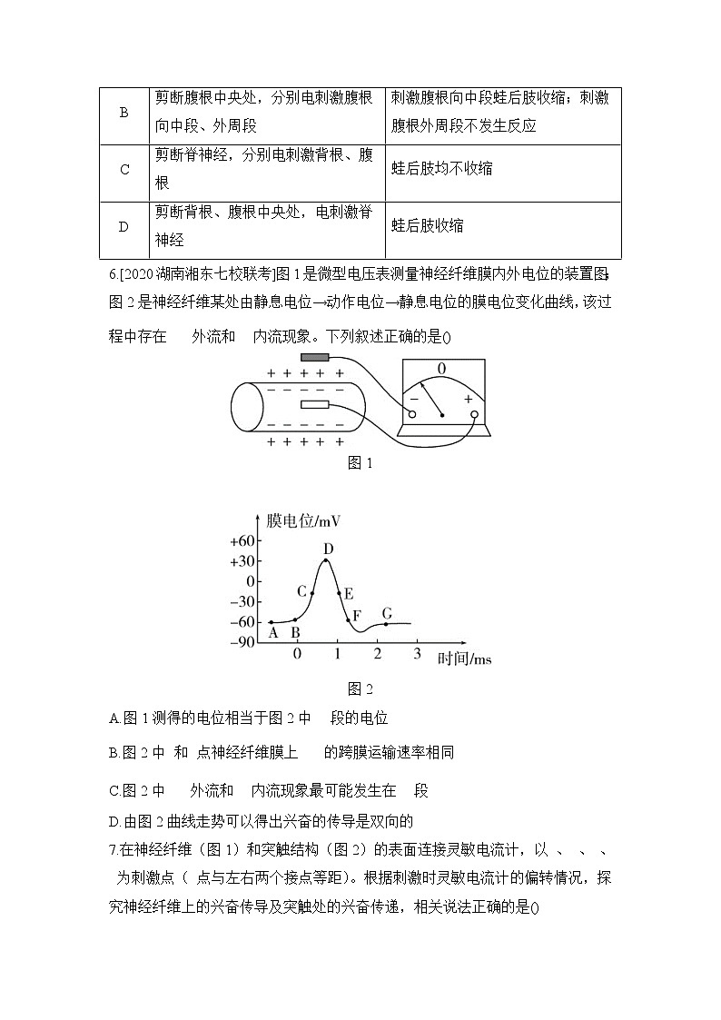 2023年新高考生物专题强化练 13：兴奋传导与传递的相关实验探究第3页