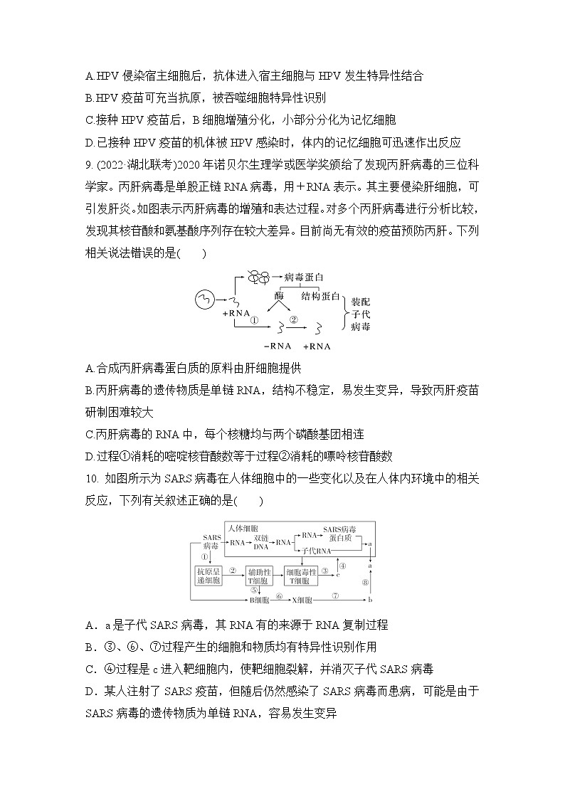 2023年新高考生物专题强化练 15：病毒第3页