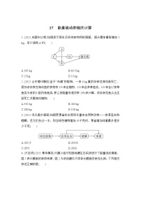 2023年新高考生物专题强化练 17：能量流动的相关计算