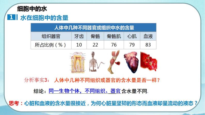 2.2 细胞中的无机物-高中生物 课件+练习（人教版2019 必修一）07