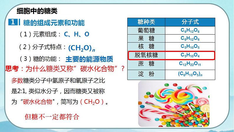 2.3 细胞中的糖类和脂质-高中生物 课件+练习（人教版2019 必修一）05