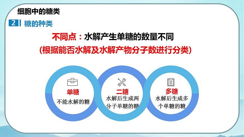 2.3 细胞中的糖类和脂质-高中生物 课件+练习（人教版2019 必修一）06