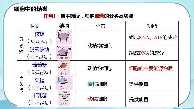 2.3 细胞中的糖类和脂质-高中生物 课件+练习（人教版2019 必修一）08