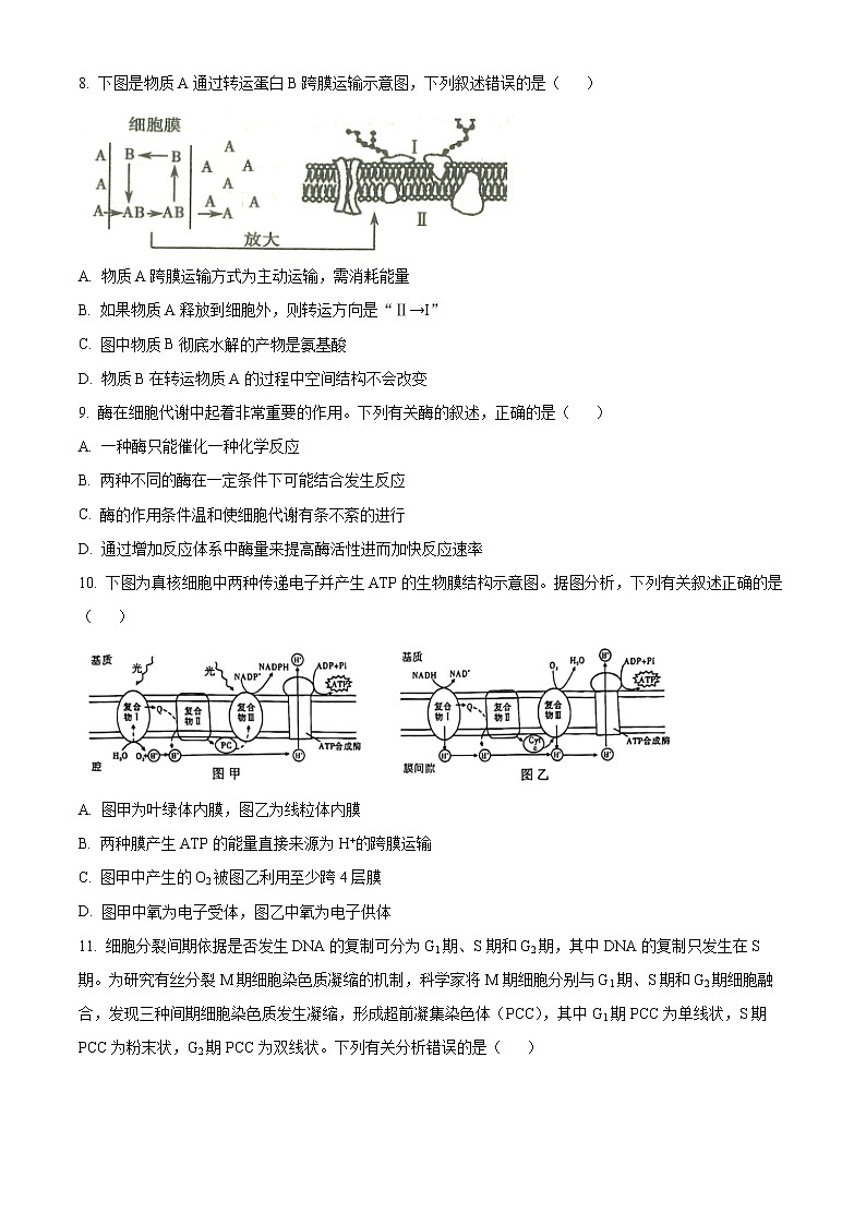 精品解析：2023届重庆市南开中学高三第一次月考生物试题（原卷版）第3页