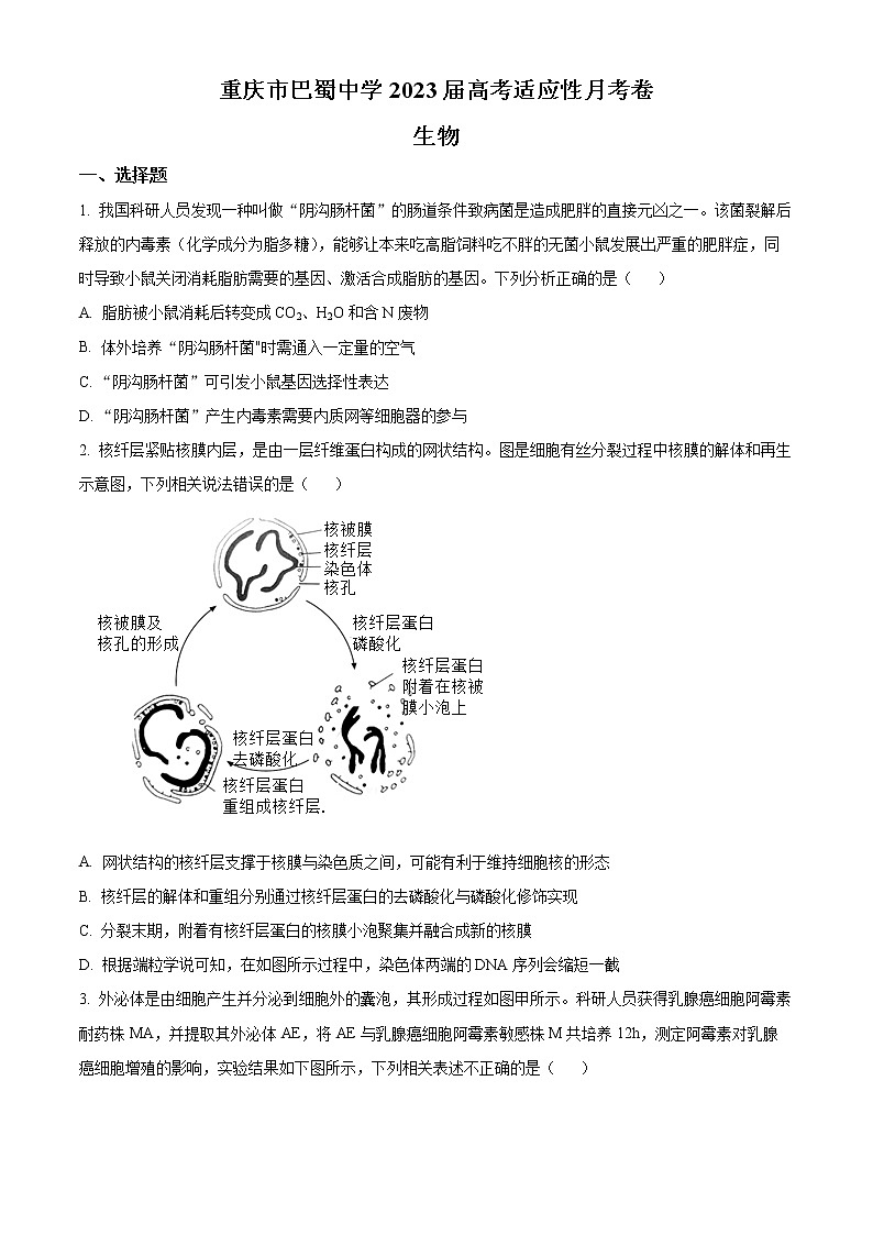 2023重庆市巴蜀中学高三上学期适应性月考试题（三）生物含解析01