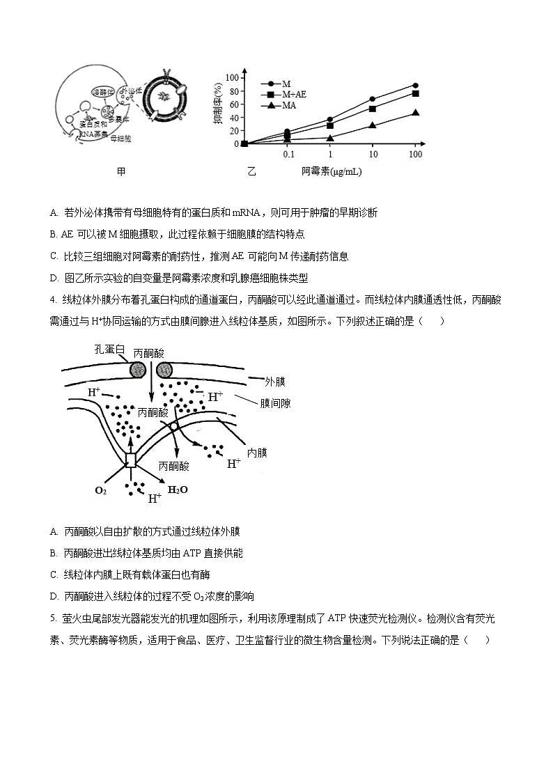 2023重庆市巴蜀中学高三上学期适应性月考试题（三）生物含解析02