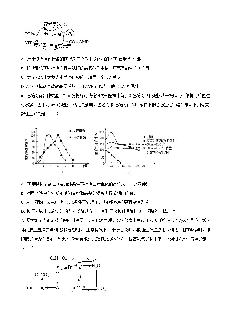 2023重庆市巴蜀中学高三上学期适应性月考试题（三）生物含解析03
