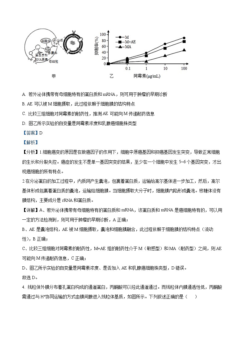 2023重庆市巴蜀中学高三上学期适应性月考试题（三）生物含解析03